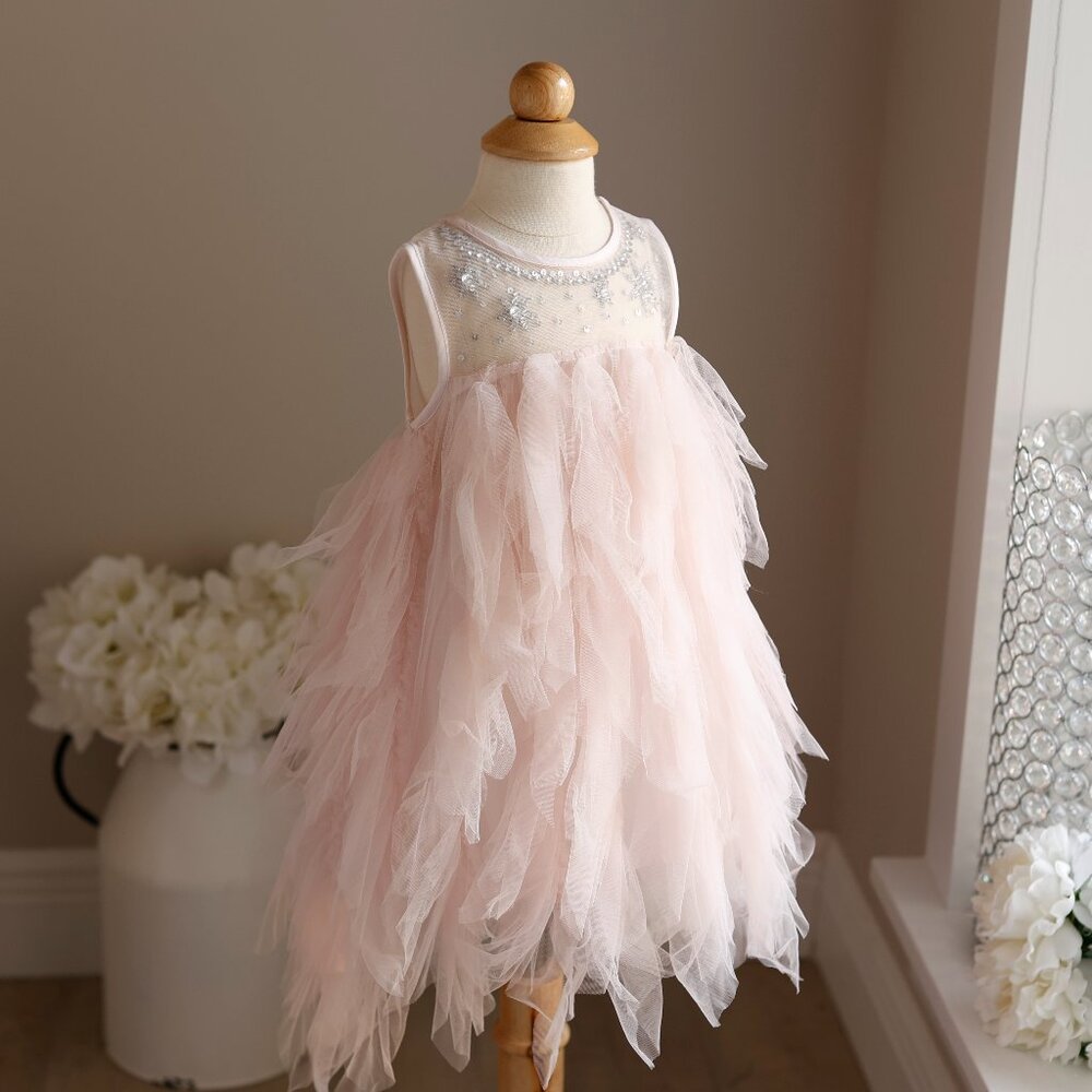 Tutu Du Monde Pink Tulle Dress Silver Sequins Beads Party Portrait 3-6 Months